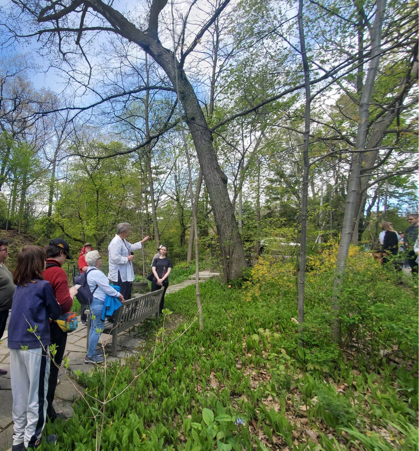 Walk leader on a bench during the Wychwood Park walking tour